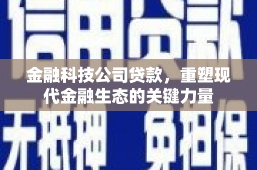 新界金融科技公司贷款，重塑现代金融生态的关键力量