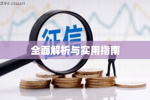 新界全面解析与实用指南