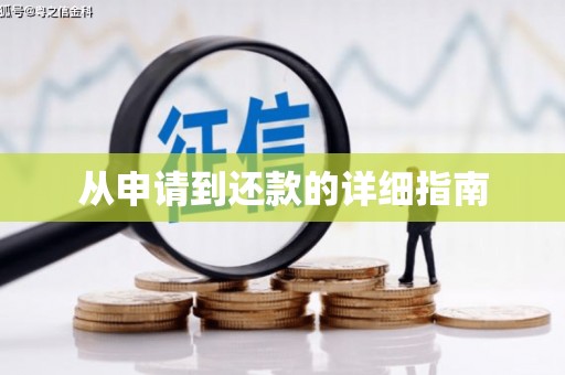 新界从申请到还款的详细指南