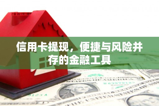 新界信用卡提现，便捷与风险并存的金融工具