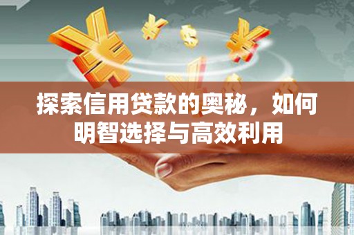 新界探索信用贷款的奥秘，如何明智选择与高效利用