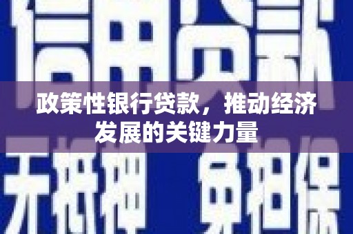 新界政策性银行贷款，推动经济发展的关键力量