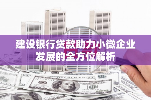 新界建设银行贷款助力小微企业发展的全方位解析