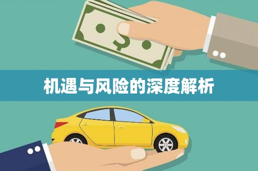 新界机遇与风险的深度解析