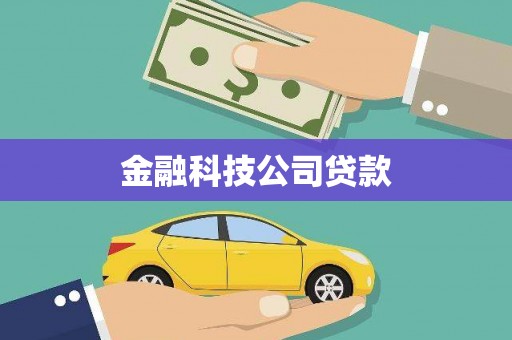 新界金融科技公司贷款