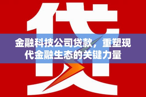 新界金融科技公司贷款，重塑现代金融生态的关键力量