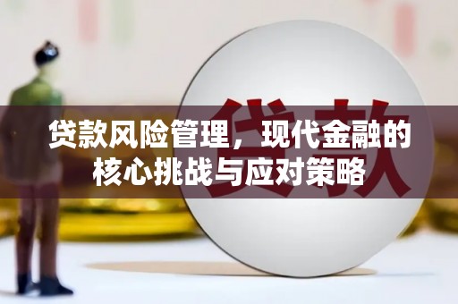 新界贷款风险管理，现代金融的核心挑战与应对策略