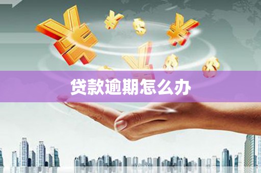 新界贷款逾期怎么办
