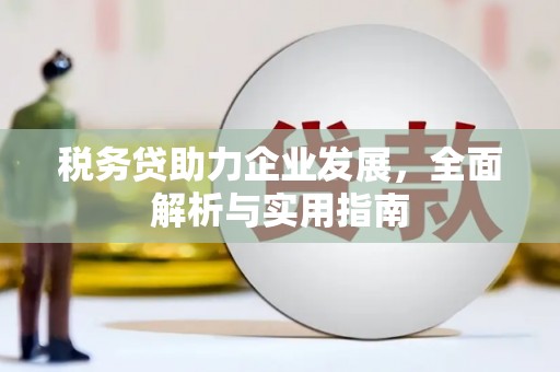 新界税务贷助力企业发展，全面解析与实用指南