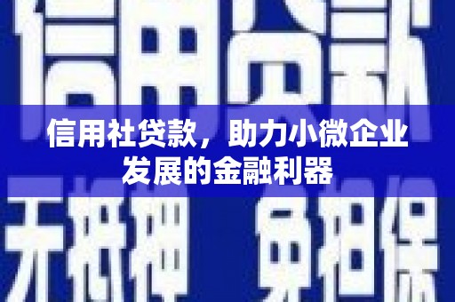 新界信用社贷款，助力小微企业发展的金融利器