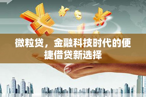 新界微粒贷，金融科技时代的便捷借贷新选择