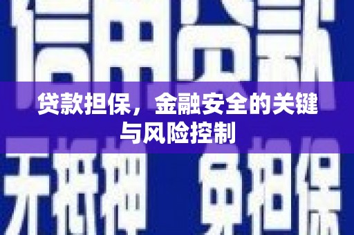 新界贷款担保，金融安全的关键与风险控制