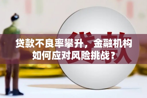 新界贷款不良率攀升，金融机构如何应对风险挑战？