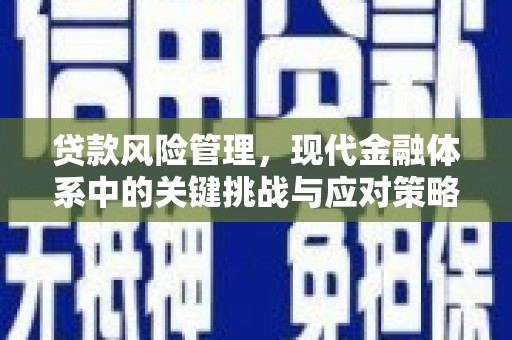 新界贷款风险管理，现代金融体系中的关键挑战与应对策略