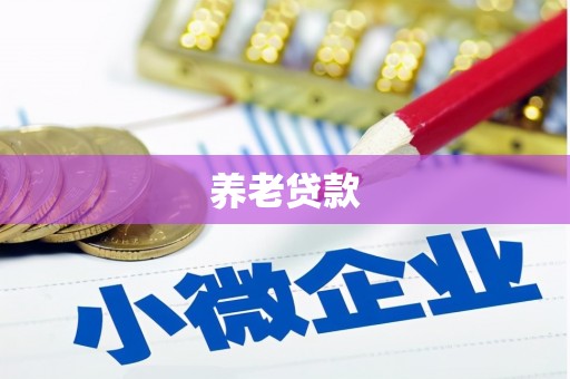 新界养老贷款