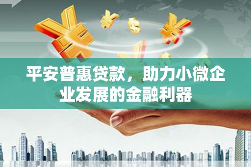 新界平安普惠贷款，助力小微企业发展的金融利器