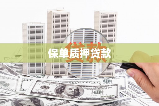 新界保单质押贷款