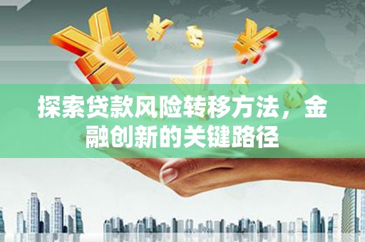 新界探索贷款风险转移方法，金融创新的关键路径