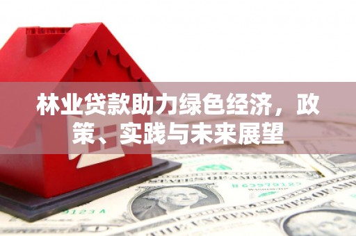 新界林业贷款助力绿色经济，政策、实践与未来展望
