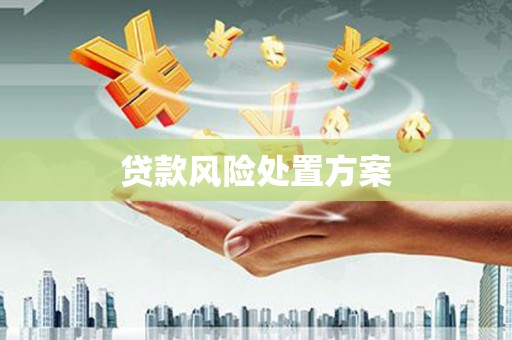 新界贷款风险处置方案