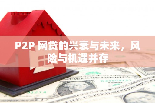 新界P2P 网贷的兴衰与未来，风险与机遇并存