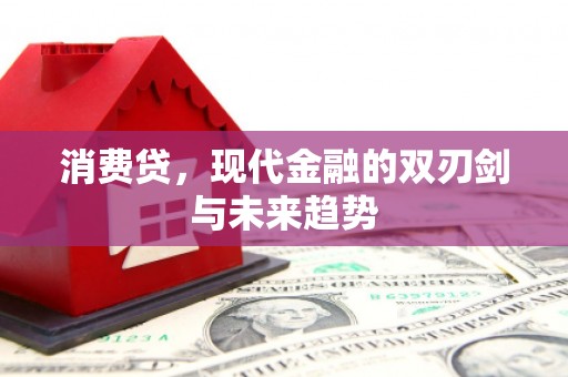 新界消费贷，现代金融的双刃剑与未来趋势