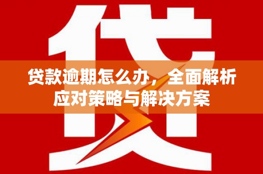 新界贷款逾期怎么办，全面解析应对策略与解决方案