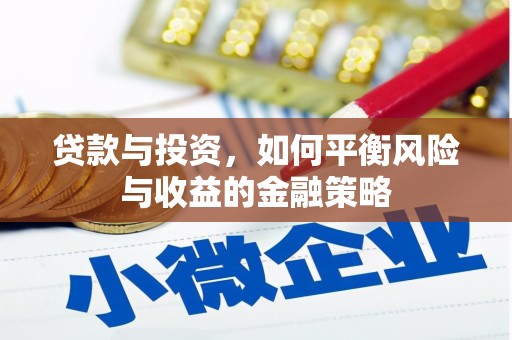 新界贷款与投资，如何平衡风险与收益的金融策略