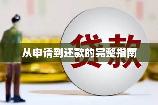 新界从申请到还款的完整指南