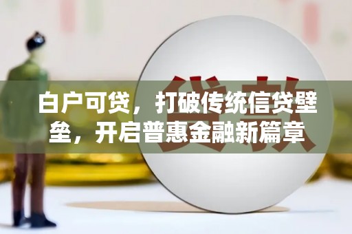 新界白户可贷，打破传统信贷壁垒，开启普惠金融新篇章