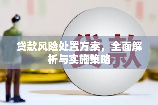 新界贷款风险处置方案，全面解析与实施策略