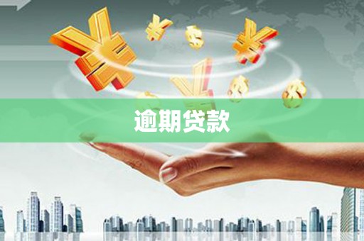 新界逾期贷款