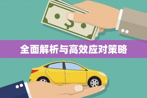新界全面解析与高效应对策略