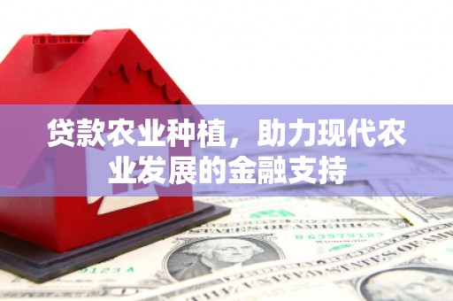 新界贷款农业种植，助力现代农业发展的金融支持